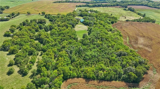 22093 Poplar Rd, Higginsville, MO 64037 - photo 14