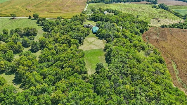 22093 Poplar Rd, Higginsville, MO 64037 - photo 15
