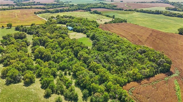 22093 Poplar Rd, Higginsville, MO 64037 - photo 16