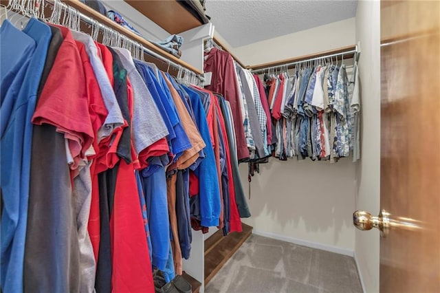 walk in closet with carpet floors