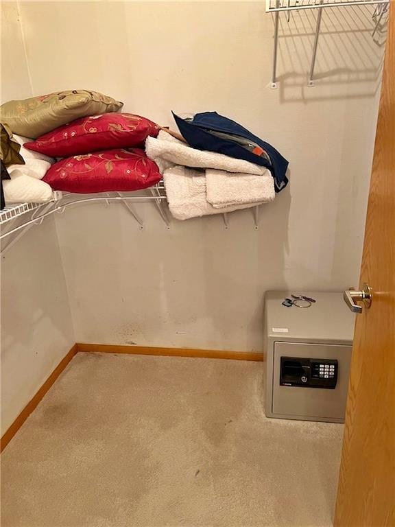 walk in closet with carpet flooring