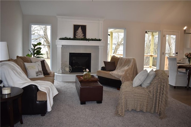 living room with a healthy amount of sunlight and a fireplace