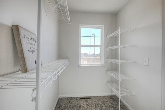 spacious closet featuring carpet flooring