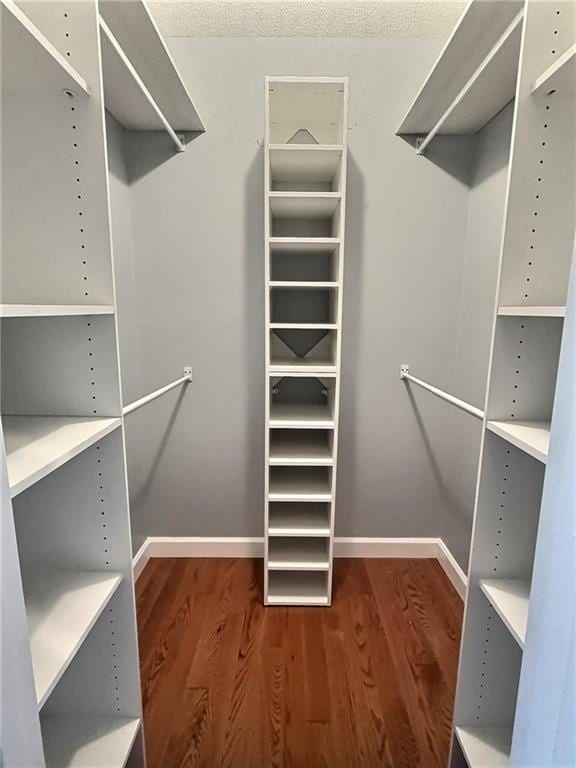 spacious closet featuring wood-type flooring