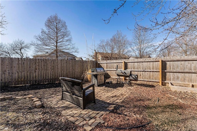 view of yard featuring a patio area and a fenced backyard