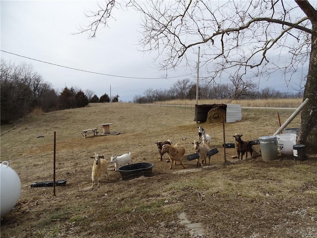 view of yard featuring a rural view