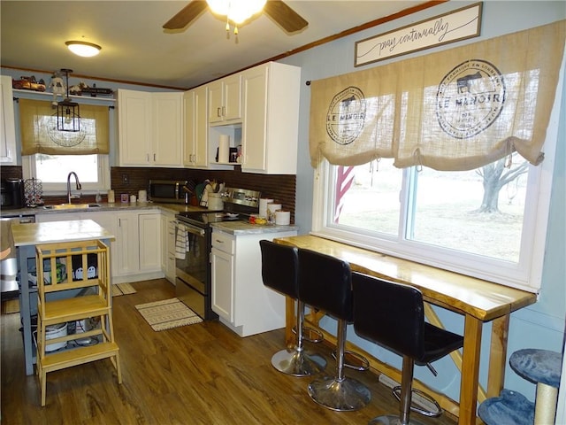 kitchen with white cabinetry, stainless steel appliances, dark hardwood / wood-style floors, and sink