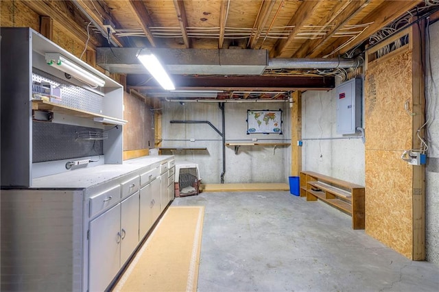 unfinished basement featuring electric panel