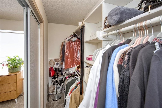 walk in closet featuring carpet floors