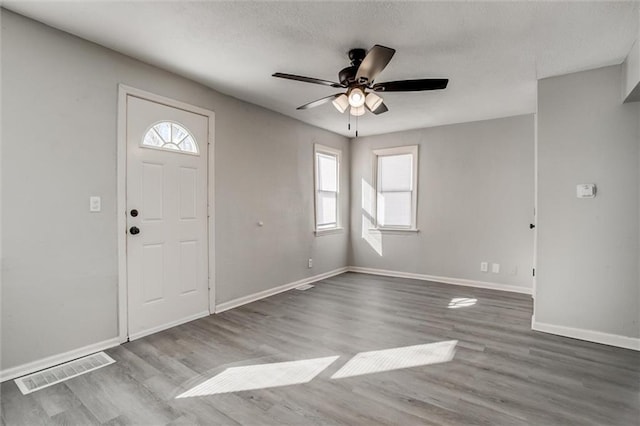 entryway featuring ceiling fan, plenty of natural light, and light hardwood / wood-style flooring