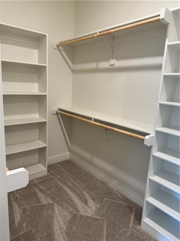 25297 W 149th Ter, Olathe, KS 66061 - spacious closet featuring carpet flooring
