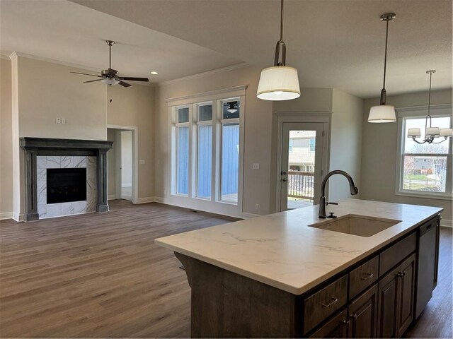 25297 W 149th Ter, Olathe, KS 66061 - kitchen featuring a sink, wood finished floors, baseboards, open floor plan, and ornamental molding