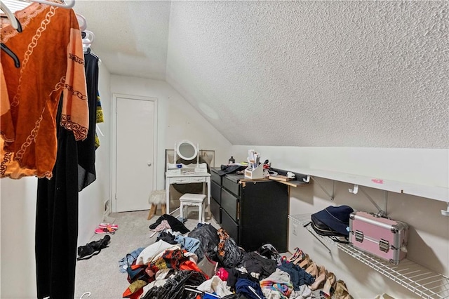 additional living space featuring a textured ceiling, vaulted ceiling, and carpet flooring