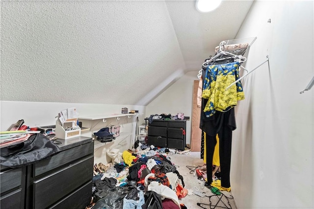 interior space with lofted ceiling