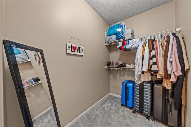 spacious closet with carpet