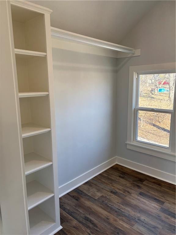 walk in closet with dark wood finished floors