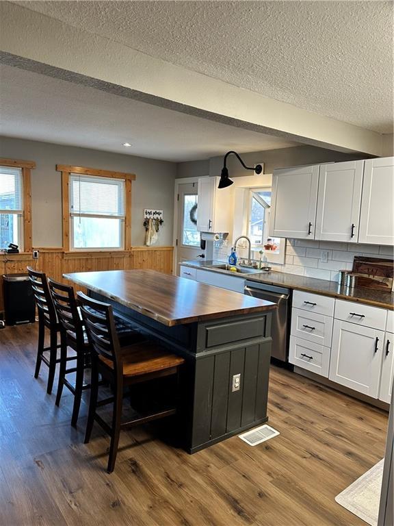 kitchen featuring wooden counters, stainless steel dishwasher, wainscoting, a sink, and white cabinetry