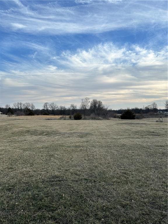 view of yard featuring a rural view