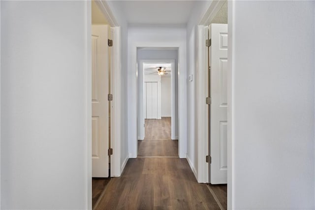 215 E Rose Ave, Caney, KS 67333 - corridor with dark wood-style flooring and baseboards