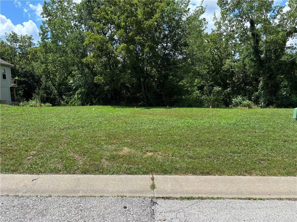 606 SW Joseph Cir, Grain Valley, MO 64029 - photo 1