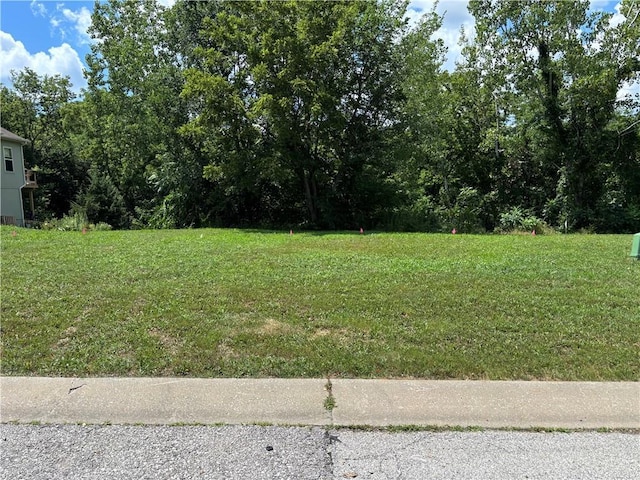 606 SW Joseph Cir, Grain Valley, MO 64029 - photo 1