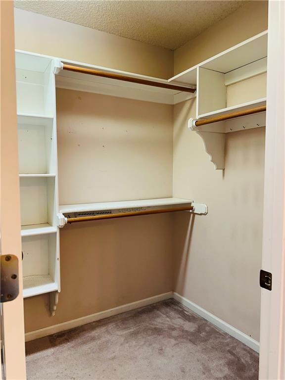 walk in closet featuring light carpet