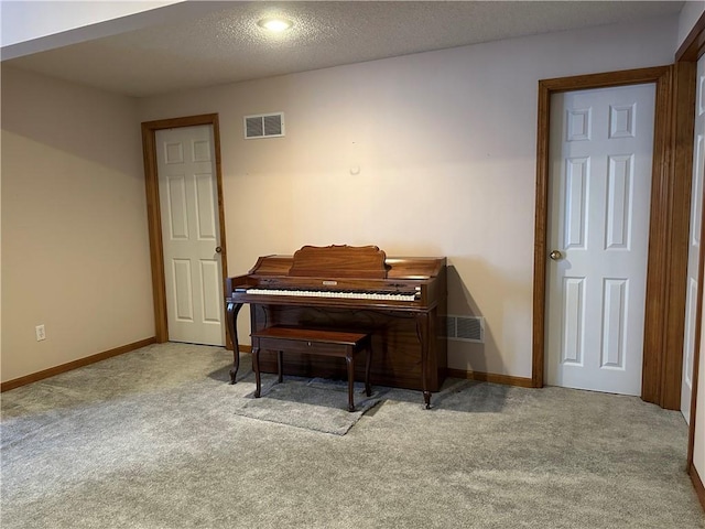 misc room with light carpet and a textured ceiling