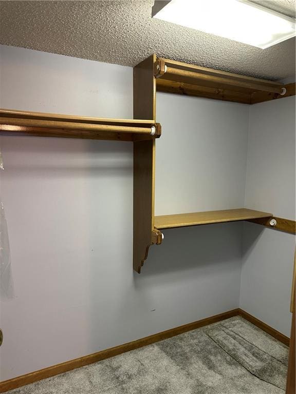 walk in closet with carpet