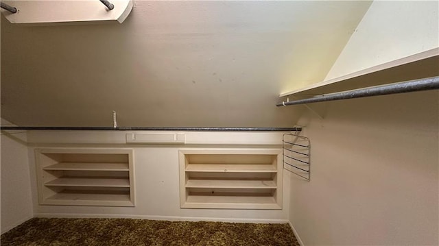 walk in closet with carpet