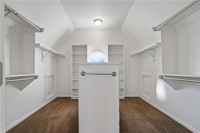 spacious closet featuring carpet floors and vaulted ceiling