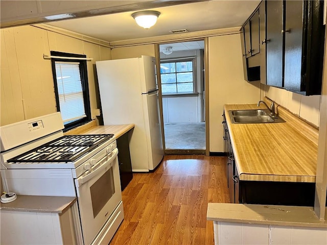 kitchen featuring white appliances, light hardwood / wood-style floors, and sink