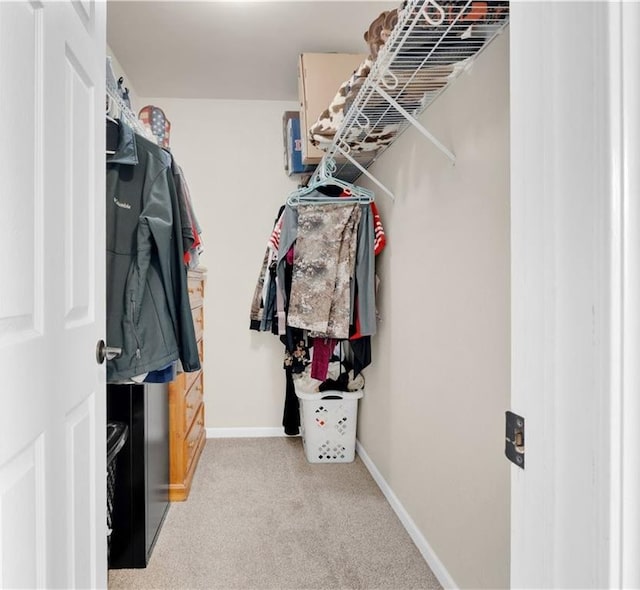 spacious closet with carpet