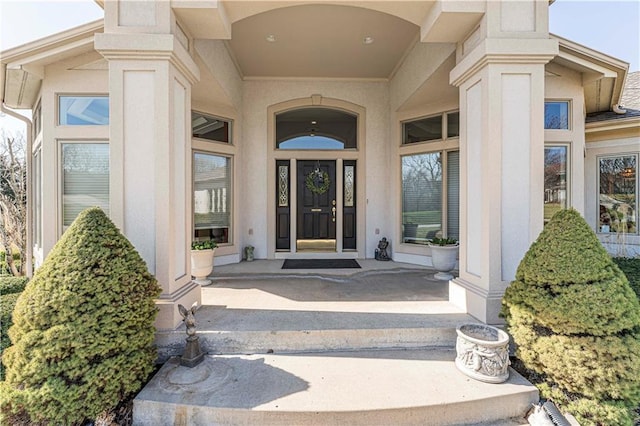 doorway to property featuring stucco siding