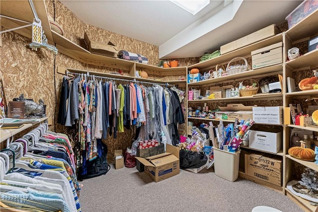 walk in closet with carpet floors
