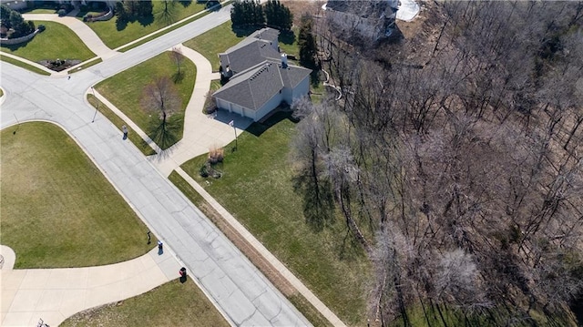 bird's eye view