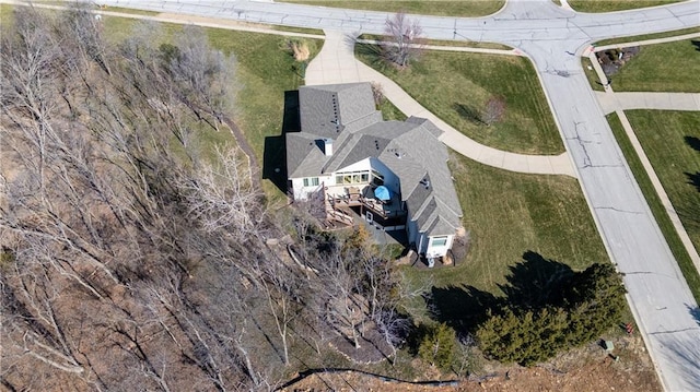 bird's eye view
