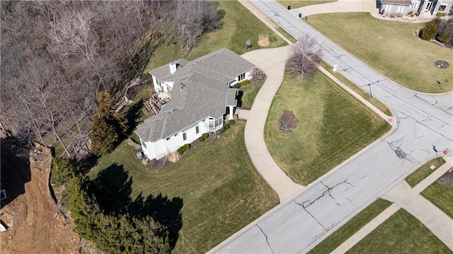 drone / aerial view