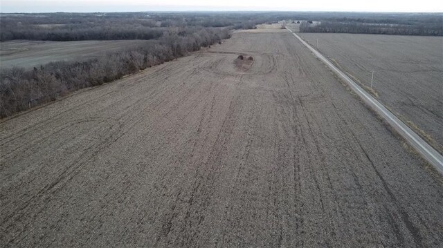 SW County Road 13007th Rd, Hume, MO 64752 - photo 6