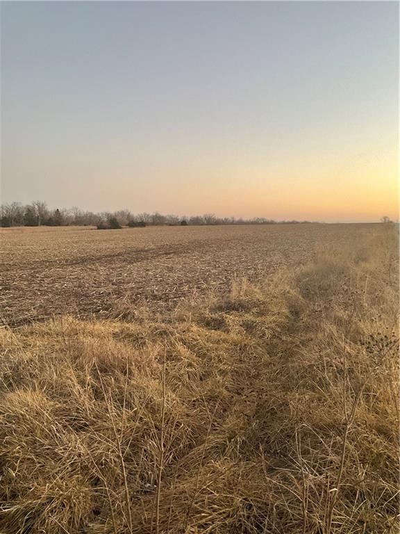 SW County Road 13007th Rd, Hume, MO 64752 - photo 4
