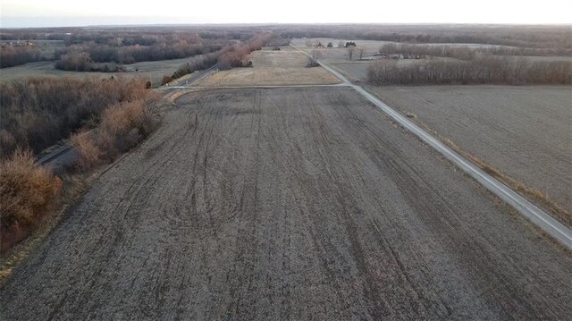 SW County Road 13007th Rd, Hume, MO 64752 - photo 18