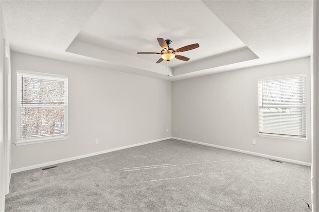 spare room with a raised ceiling, plenty of natural light, and baseboards