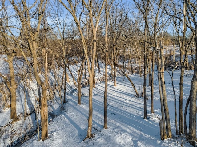 view of yard covered in snow