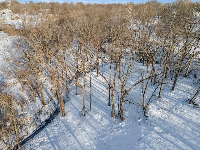 view of snowy landscape