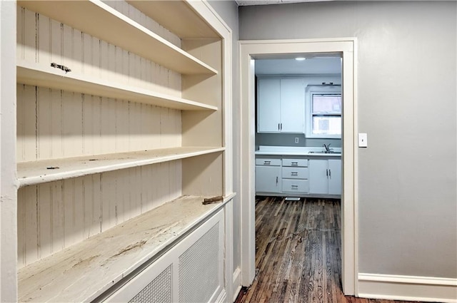 pantry featuring sink