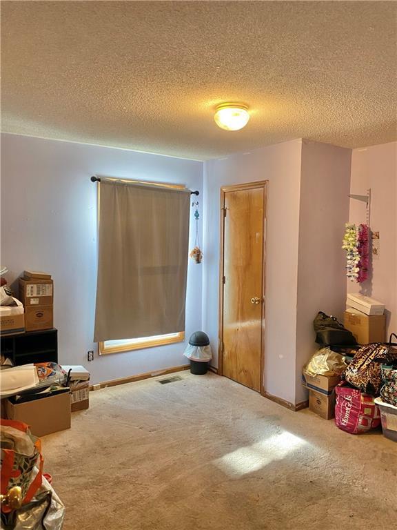 miscellaneous room featuring a textured ceiling, carpet, visible vents, and baseboards