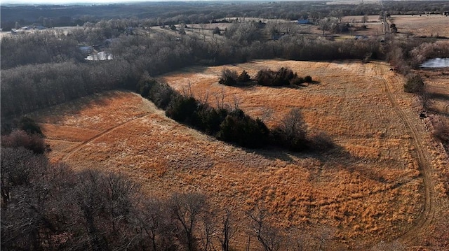 birds eye view of property featuring a rural view