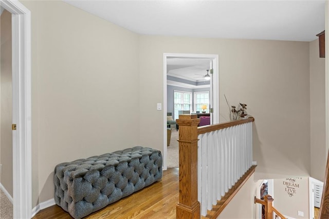 corridor featuring hardwood / wood-style flooring