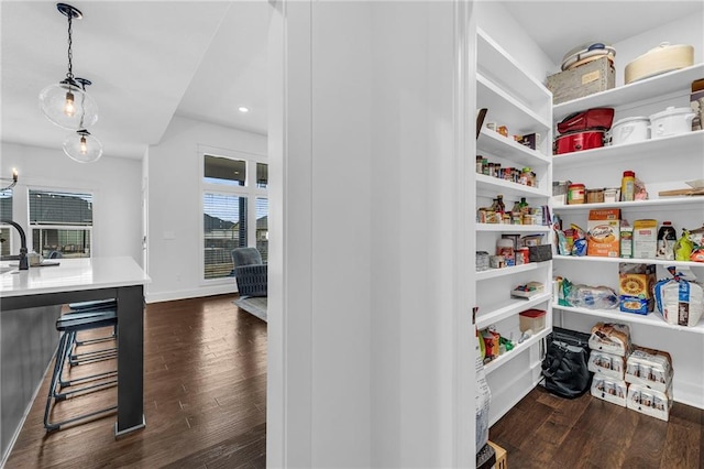 pantry with a sink