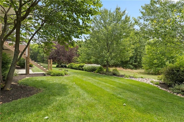 view of yard featuring stairs