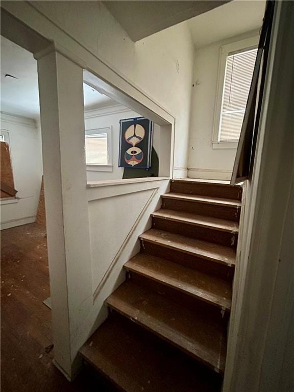 stairway featuring hardwood / wood-style floors